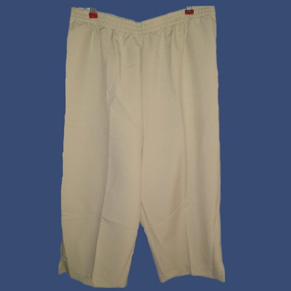 Petite Crop Pants NWOT - Picture 7 of 11